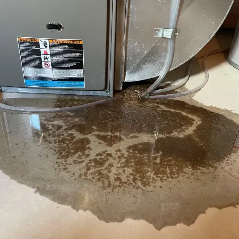 Appliance Leak Cleanup in Lee, MA